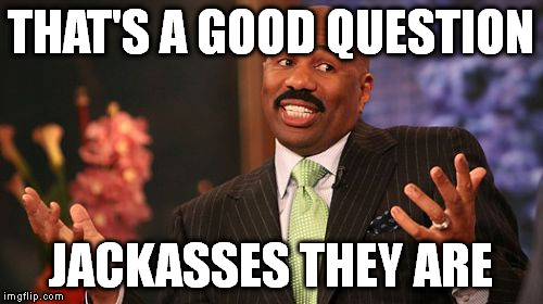 THAT'S A GOOD QUESTION JACKASSES THEY ARE | image tagged in memes,steve harvey | made w/ Imgflip meme maker