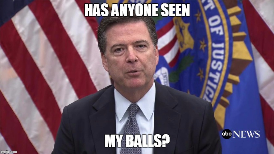 FBI Director James Comey | HAS ANYONE SEEN; MY BALLS? | image tagged in fbi director james comey | made w/ Imgflip meme maker