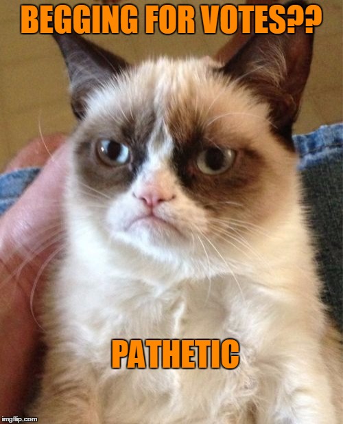 Grumpy Cat Meme | BEGGING FOR VOTES?? PATHETIC | image tagged in memes,grumpy cat | made w/ Imgflip meme maker