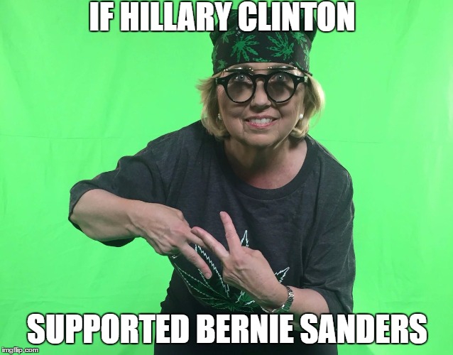 Hillary felt the bern! | IF HILLARY CLINTON; SUPPORTED BERNIE SANDERS | image tagged in memes,politics | made w/ Imgflip meme maker