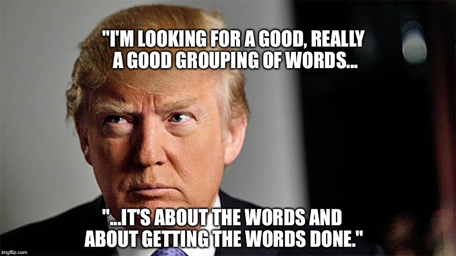 The Man With "The Best Words" | "I'M LOOKING FOR A GOOD, REALLY A GOOD GROUPING OF WORDS... "...IT'S ABOUT THE WORDS AND ABOUT GETTING THE WORDS DONE." | image tagged in donald trump,big words,gop,donald trump is an idiot | made w/ Imgflip meme maker