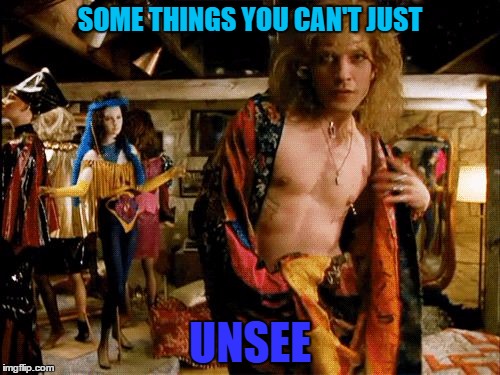 SOME THINGS YOU CAN'T JUST; UNSEE | image tagged in unsee | made w/ Imgflip meme maker
