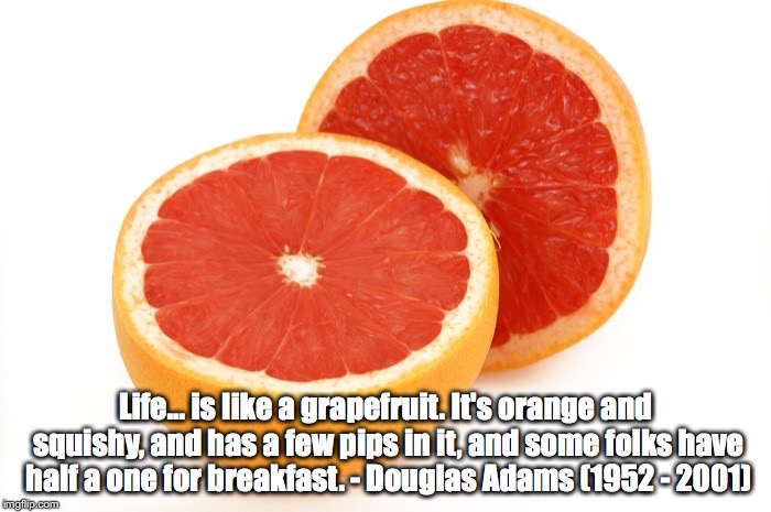 Life... is like a grapefruit. It's orange and squishy, and has a few pips in it, and some folks have half a one for breakfast. - Douglas Adams (1952 - 2001) | image tagged in life | made w/ Imgflip meme maker