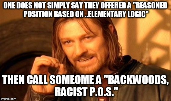 One Does Not Simply Meme | ONE DOES NOT SIMPLY SAY THEY OFFERED A "REASONED POSITION BASED ON ..ELEMENTARY LOGIC" THEN CALL SOMEOME A "BACKWOODS, RACIST P.O.S." | image tagged in memes,one does not simply | made w/ Imgflip meme maker
