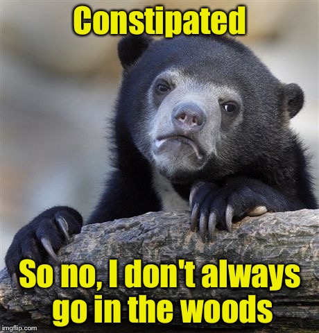 Does that answer your question? | Constipated; So no, I don't always go in the woods | image tagged in memes,confession bear | made w/ Imgflip meme maker