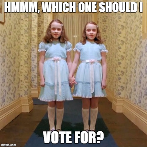 Twins from The Shining | HMMM, WHICH ONE SHOULD I; VOTE FOR? | image tagged in twins from the shining | made w/ Imgflip meme maker