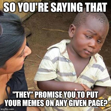 SO YOU'RE SAYING THAT "THEY" PROMISE YOU TO PUT YOUR MEMES ON ANY GIVEN PAGE? | image tagged in memes,third world skeptical kid | made w/ Imgflip meme maker