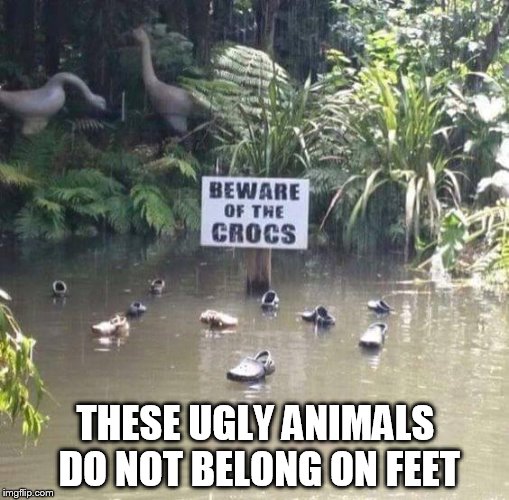 THESE UGLY ANIMALS DO NOT BELONG ON FEET | image tagged in memes | made w/ Imgflip meme maker