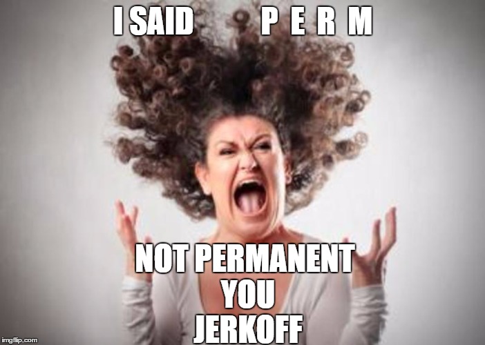 Our women are suppose to use a Parlor as Therapy, not send them Home like a Pit Bull. | I SAID           P  E  R  M; NOT PERMANENT YOU JERKOFF | image tagged in women,hair,screaming,mad,bad hair day | made w/ Imgflip meme maker