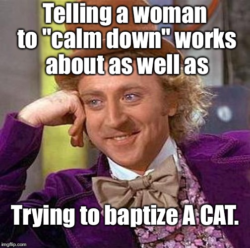 Creepy Condescending Wonka Meme | Telling a woman to "calm down" works about as well as; Trying to baptize A CAT. | image tagged in memes,creepy condescending wonka | made w/ Imgflip meme maker