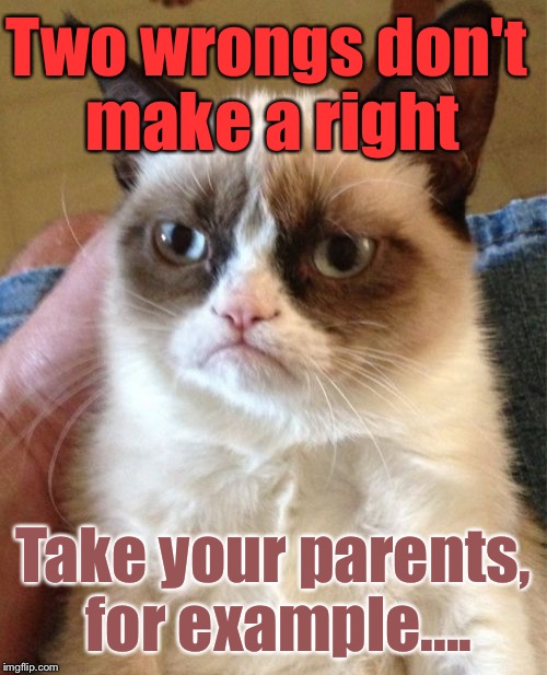 Grumpy Cat Meme | Two wrongs don't make a right; Take your parents, for example.... | image tagged in memes,grumpy cat | made w/ Imgflip meme maker
