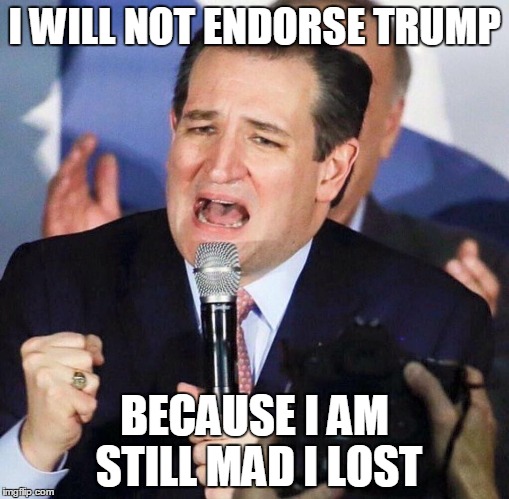 Ted Cruz Singing | I WILL NOT ENDORSE TRUMP; BECAUSE I AM STILL MAD I LOST | image tagged in ted cruz singing | made w/ Imgflip meme maker