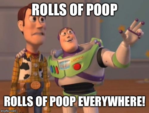 X, X Everywhere Meme | ROLLS OF POOP ROLLS OF POOP EVERYWHERE! | image tagged in memes,x x everywhere | made w/ Imgflip meme maker