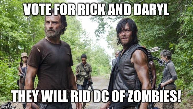Meme | VOTE FOR RICK AND DARYL; THEY WILL RID DC OF ZOMBIES! | image tagged in vote | made w/ Imgflip meme maker