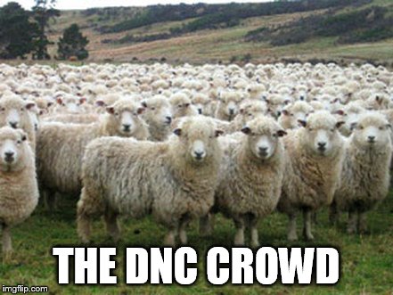 Hillary Suporters | THE DNC CROWD | image tagged in hillary suporters | made w/ Imgflip meme maker