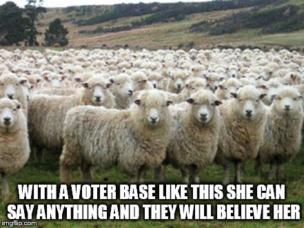 Hillary Suporters | WITH A VOTER BASE LIKE THIS SHE CAN SAY ANYTHING AND THEY WILL BELIEVE HER | image tagged in hillary suporters | made w/ Imgflip meme maker