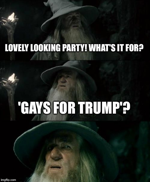 Confused Gandalf | LOVELY LOOKING PARTY! WHAT'S IT FOR? 'GAYS FOR TRUMP'? | image tagged in memes,confused gandalf | made w/ Imgflip meme maker