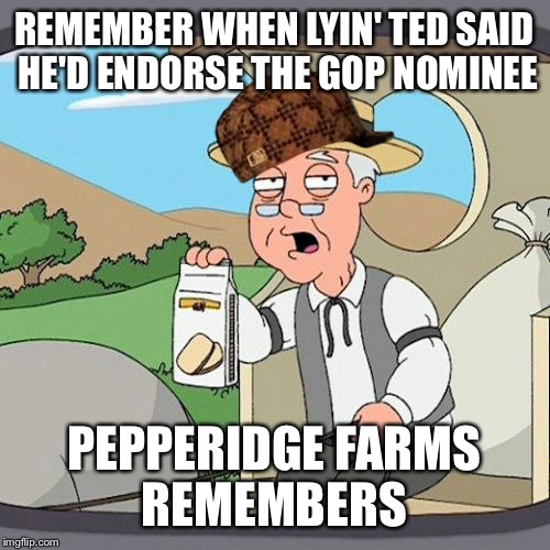 Pepperidge Farm Remembers | REMEMBER WHEN LYIN' TED SAID HE'D ENDORSE THE GOP NOMINEE; PEPPERIDGE FARMS REMEMBERS | image tagged in memes,pepperidge farm remembers,scumbag | made w/ Imgflip meme maker