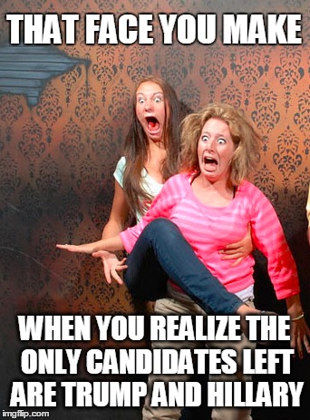 THAT FACE YOU MAKE; WHEN YOU REALIZE THE ONLY CANDIDATES LEFT ARE TRUMP AND HILLARY | image tagged in trump 2016,hillary clinton | made w/ Imgflip meme maker