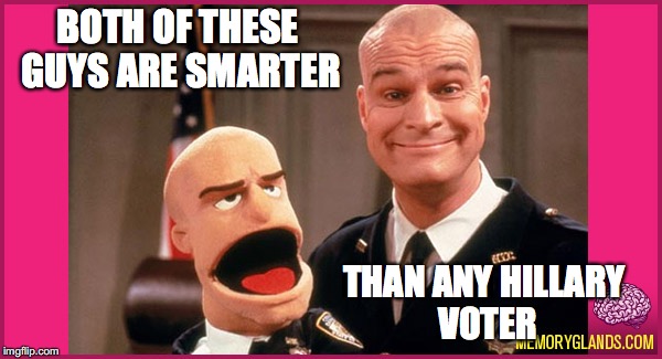  BULL SHANNON AND HILLARY VOTER | BOTH OF THESE GUYS ARE SMARTER; THAN ANY HILLARY VOTER | image tagged in never hillary,smart voter,bull,night court | made w/ Imgflip meme maker