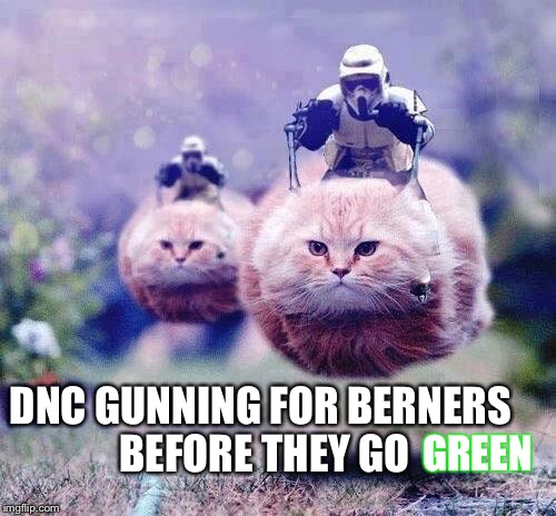 Gunning For... | DNC GUNNING FOR BERNERS BEFORE THEY GO; GREEN | image tagged in green party,berners,star wars,bernie sanders,jill stein,dnc | made w/ Imgflip meme maker