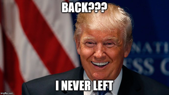 Laughing Donald Trump | BACK??? I NEVER LEFT | image tagged in laughing donald trump | made w/ Imgflip meme maker