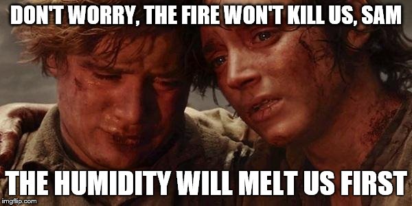 Lord of the rings  | DON'T WORRY, THE FIRE WON'T KILL US, SAM; THE HUMIDITY WILL MELT US FIRST | image tagged in lord of the rings | made w/ Imgflip meme maker