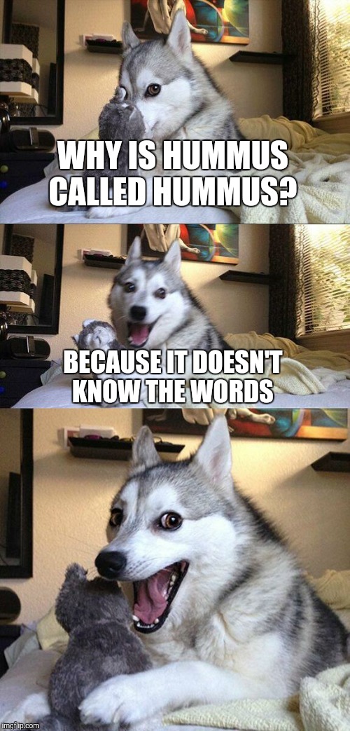 Bad Pun Dog Meme | WHY IS HUMMUS CALLED HUMMUS? BECAUSE IT DOESN'T KNOW THE WORDS | image tagged in memes,bad pun dog | made w/ Imgflip meme maker