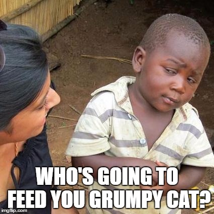 Third World Skeptical Kid Meme | WHO'S GOING TO FEED YOU GRUMPY CAT? | image tagged in memes,third world skeptical kid | made w/ Imgflip meme maker