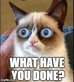 Grumpy Cat Shocked | WHAT HAVE YOU DONE? | image tagged in grumpy cat shocked | made w/ Imgflip meme maker