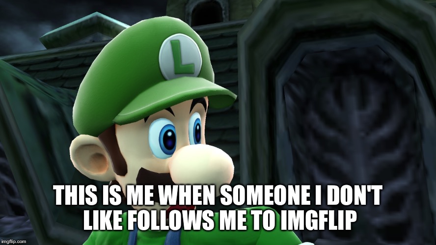 Scared Luigi | THIS IS ME WHEN SOMEONE I DON'T LIKE FOLLOWS ME TO IMGFLIP | image tagged in scared luigi,memes | made w/ Imgflip meme maker