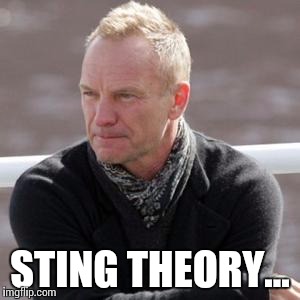 STING THEORY... | made w/ Imgflip meme maker