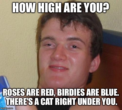 10 Guy | HOW HIGH ARE YOU? ROSES ARE RED, BIRDIES ARE BLUE. THERE'S A CAT RIGHT UNDER YOU. | image tagged in memes,10 guy | made w/ Imgflip meme maker