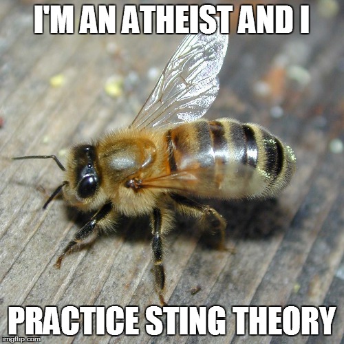 I'M AN ATHEIST AND I PRACTICE STING THEORY | made w/ Imgflip meme maker