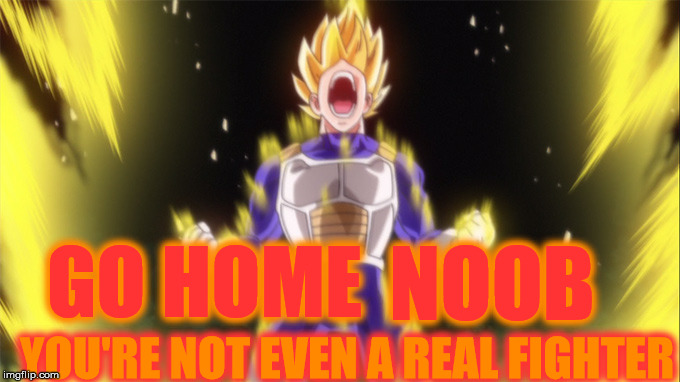 YOU'RE NOT EVEN A REAL FIGHTER GO HOME NOOB | made w/ Imgflip meme maker