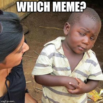 Third World Skeptical Kid Meme | WHICH MEME? | image tagged in memes,third world skeptical kid | made w/ Imgflip meme maker