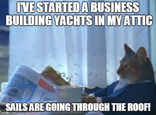 I Should Buy A Boat Cat | I'VE STARTED A BUSINESS BUILDING YACHTS IN MY ATTIC; SAILS ARE GOING THROUGH THE ROOF! | image tagged in memes,i should buy a boat cat | made w/ Imgflip meme maker