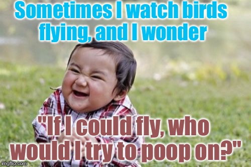 Evil Toddler | Sometimes I watch birds flying, and I wonder; "If I could fly, who would I try to poop on?" | image tagged in memes,evil toddler | made w/ Imgflip meme maker