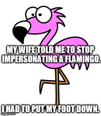 Flamingo foo down | MY WIFE TOLD ME TO STOP IMPERSONATING A FLAMINGO. I HAD TO PUT MY FOOT DOWN. | image tagged in flamingo fail,foot | made w/ Imgflip meme maker