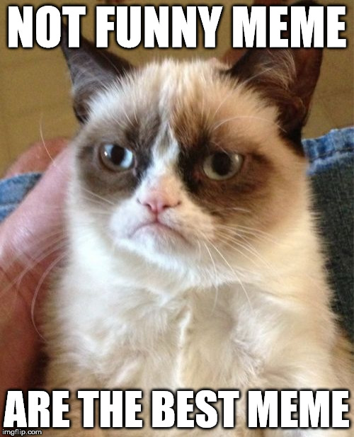 Grumpy Cat Meme | NOT FUNNY MEME ARE THE BEST MEME | image tagged in memes,grumpy cat | made w/ Imgflip meme maker