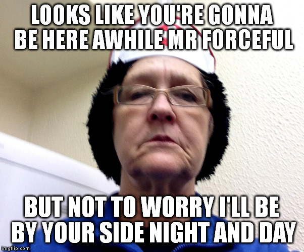 LOOKS LIKE YOU'RE GONNA BE HERE AWHILE MR FORCEFUL BUT NOT TO WORRY I'LL BE BY YOUR SIDE NIGHT AND DAY | made w/ Imgflip meme maker