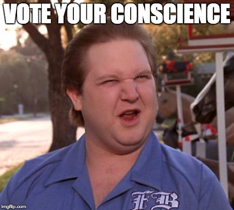 VOTE YOUR CONSCIENCE | image tagged in EnoughHillHate | made w/ Imgflip meme maker