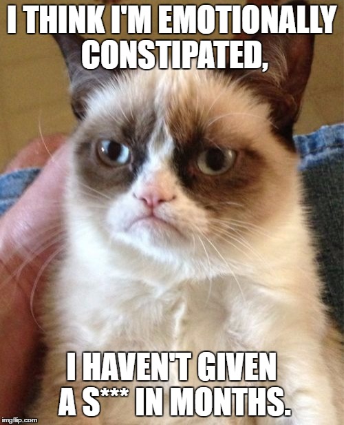 Grumpy Cat | I THINK I'M EMOTIONALLY CONSTIPATED, I HAVEN'T GIVEN A S*** IN MONTHS. | image tagged in memes,grumpy cat | made w/ Imgflip meme maker