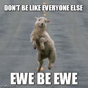 Ewe Dance | DON'T BE LIKE EVERYONE ELSE; EWE BE EWE | image tagged in ewe dance | made w/ Imgflip meme maker