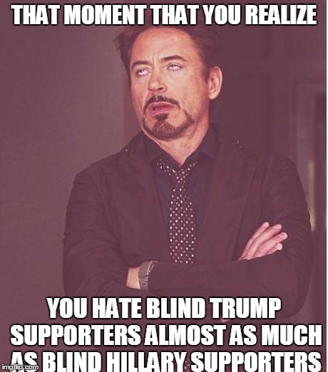 Face You Make Robert Downey Jr | THAT MOMENT THAT YOU REALIZE; YOU HATE BLIND TRUMP SUPPORTERS ALMOST AS MUCH AS BLIND HILLARY SUPPORTERS | image tagged in memes,face you make robert downey jr | made w/ Imgflip meme maker