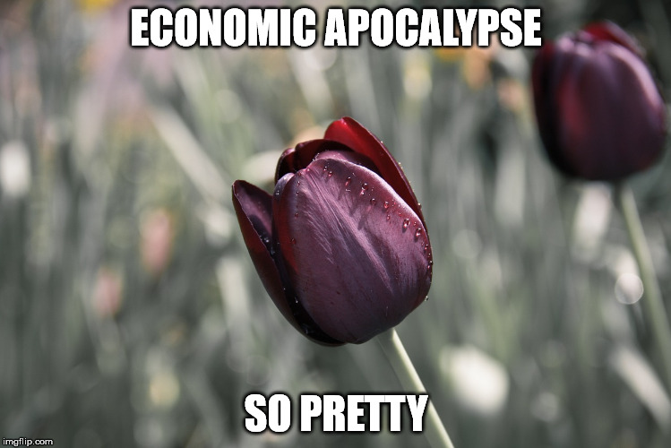  ECONOMIC APOCALYPSE; SO PRETTY | made w/ Imgflip meme maker