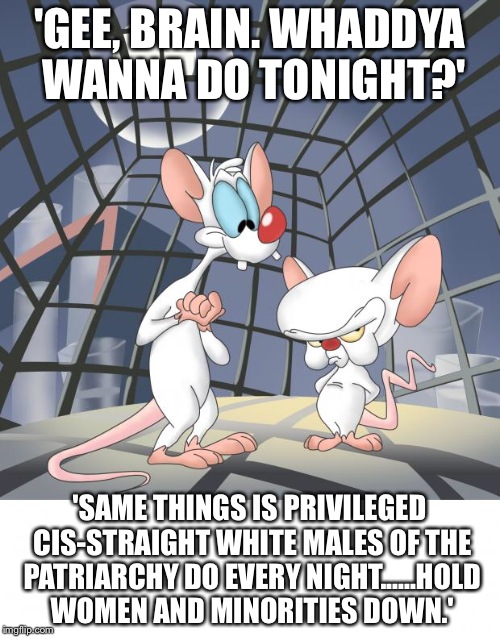 Pinky and the brain | 'GEE, BRAIN. WHADDYA WANNA DO TONIGHT?'; 'SAME THINGS IS PRIVILEGED CIS-STRAIGHT WHITE MALES OF THE PATRIARCHY DO EVERY NIGHT......HOLD WOMEN AND MINORITIES DOWN.' | image tagged in pinky and the brain | made w/ Imgflip meme maker