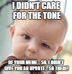 Skeptical Baby | I DIDN'T CARE FOR THE TONE; OF YOUR MEME... SO, I DIDN'T GIVE YOU AN UPVOTE... SO THERE! | image tagged in memes,skeptical baby | made w/ Imgflip meme maker