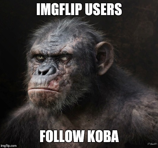 One day.... | IMGFLIP USERS; FOLLOW KOBA | image tagged in memes,planet of the apes | made w/ Imgflip meme maker