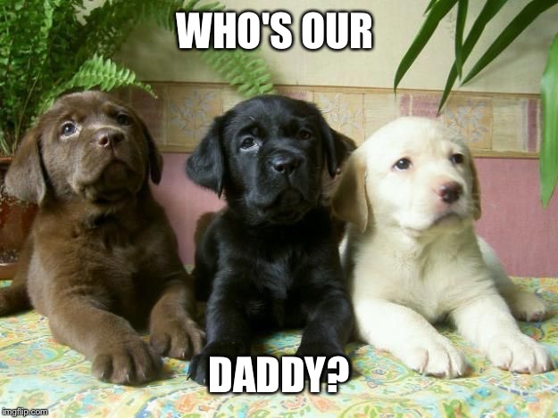 WHO'S OUR DADDY? | made w/ Imgflip meme maker